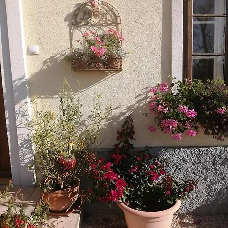 Marta'S House Guest House Bled Exterior photo