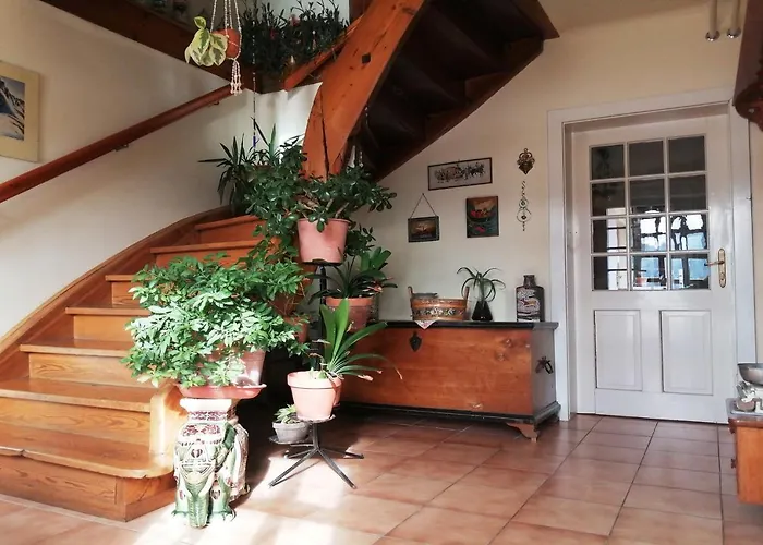 Marta\'S House