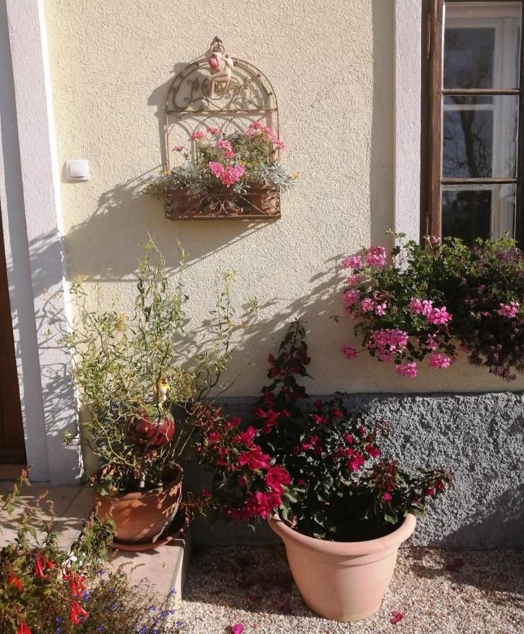 Country house Marta's House *