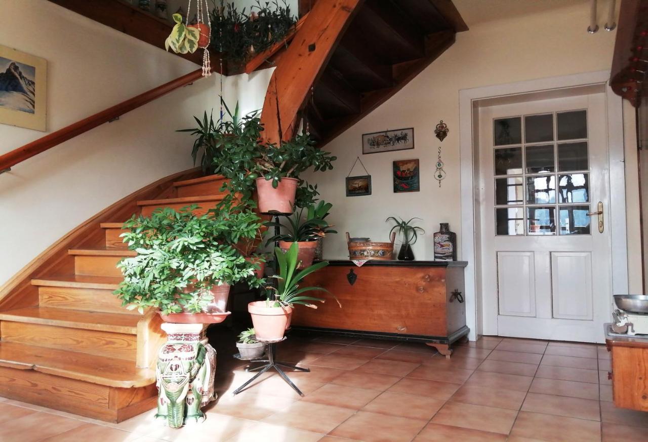 Marta's House Landhuis *
