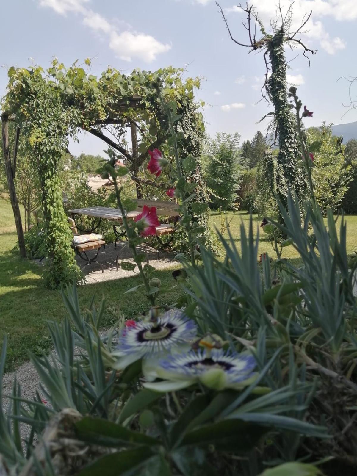 Marta's House
